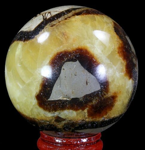 Polished Septarian Sphere - Madagascar #67832